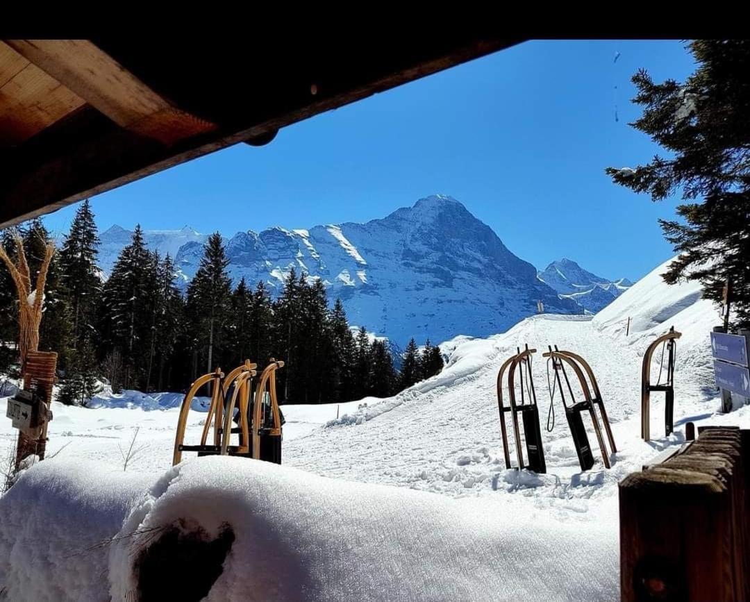 Ferienwohnung Talhaus Lauterbrunnen Exterior photo